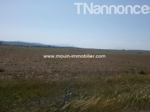 Terrain vente