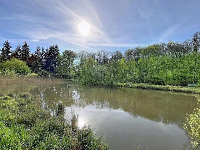 Terrain vente à Bourguignon-sous-Montbavin, Aisne