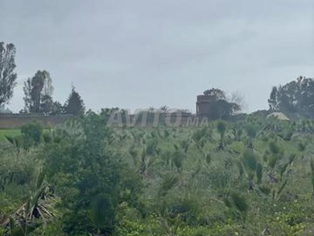 Propriété vente à Bouskoura, Gharb-Chrarda-Beni Hssen