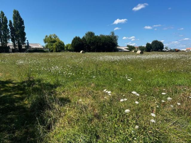 Terrain vente à Chez Robin, Boutenac-Touvent