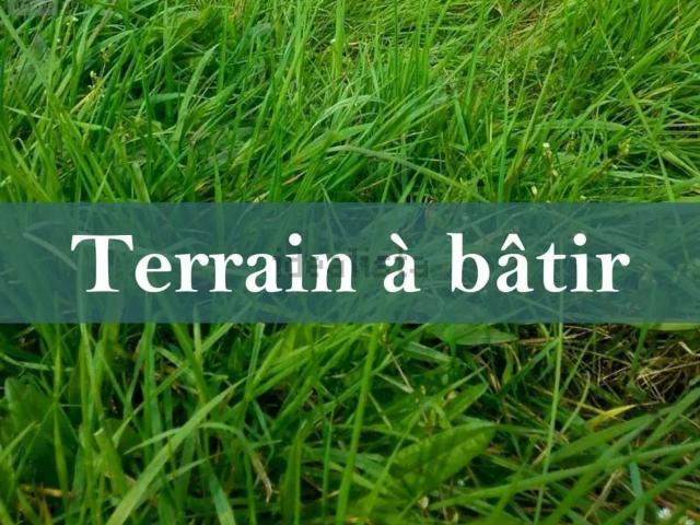 Terrain vente à La Coutancière, Brain-sur-Allonnes