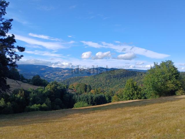 Terrain vente à Breitenbach-Haut-Rhin, Collectivité européenne d'Alsace