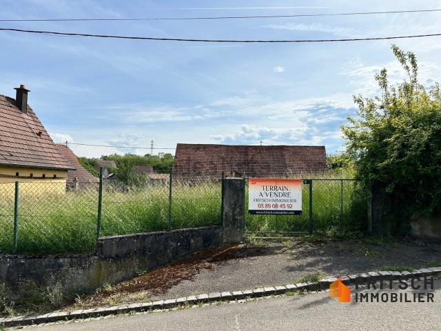 Terrain vente à Bruebach, Collectivité européenne d'Alsace