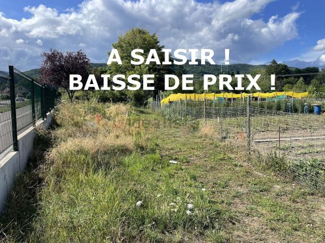 Terrain vente à Buhl, Collectivité européenne d'Alsace