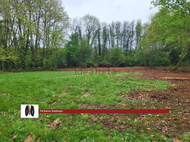 Terrain vente à Vigneau de bas, Martillac