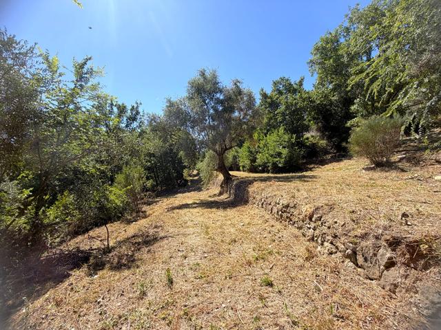 Terrain vente à Le Village, Callian