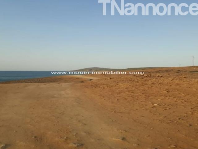 Terrain vente