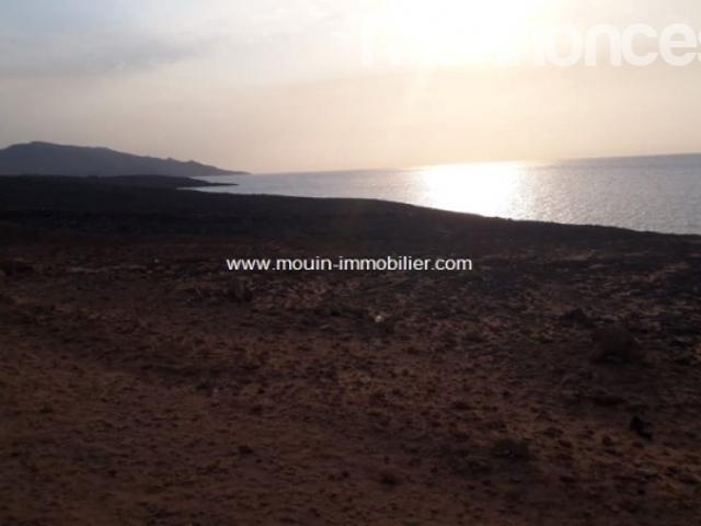 Terrain location
