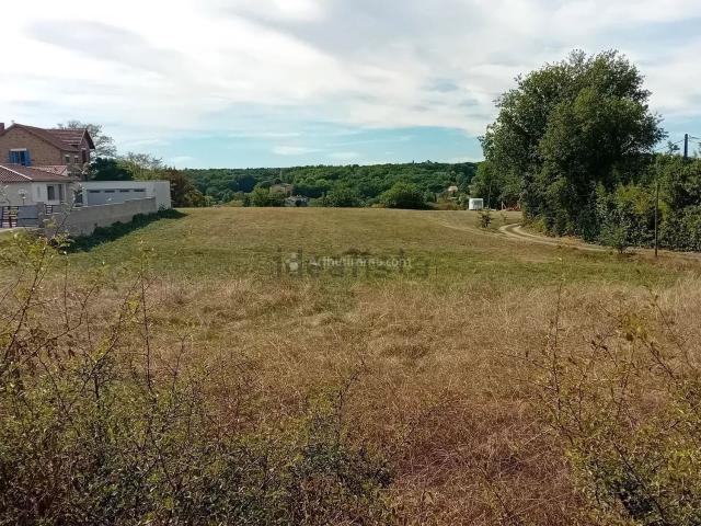 Terrain vente à Puech Raynal, Carmaux
