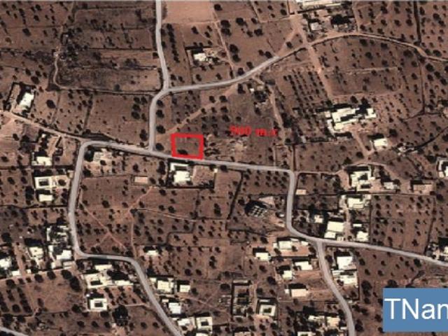 Terrain location