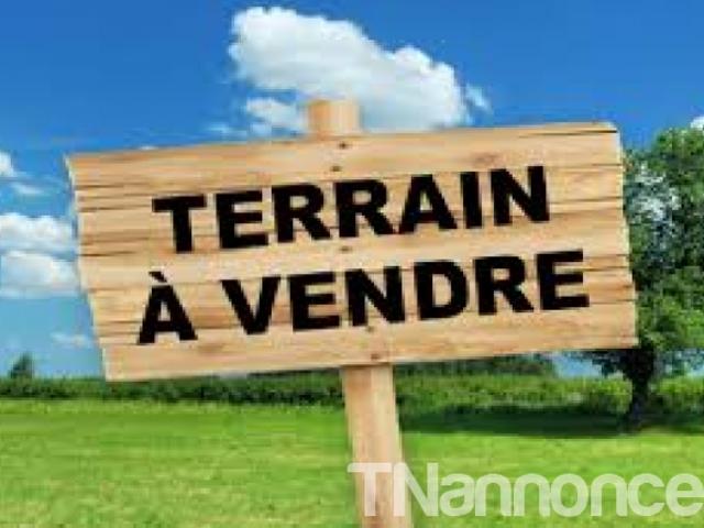 Terrain location