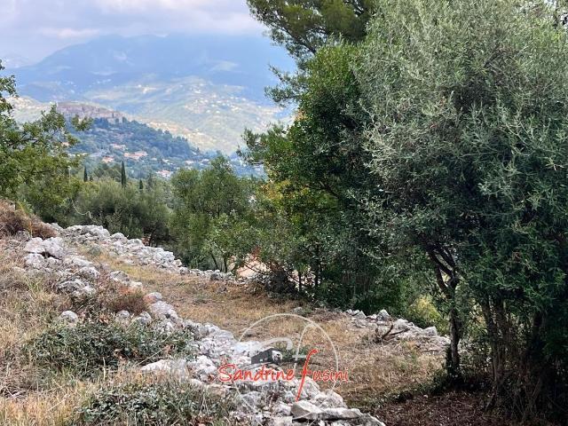 Terrain vente à Le Broc, Alpes-Maritimes