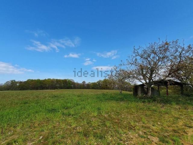Terrain vente à Castaignos-Souslens, Landes