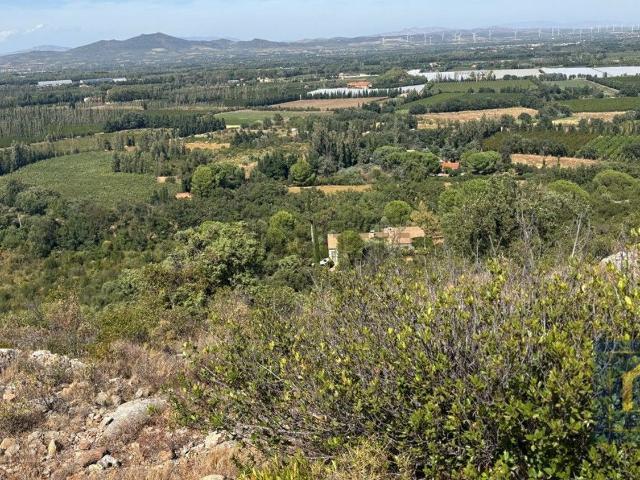 Terrain vente à Mas de la Comtesse, Castelnou