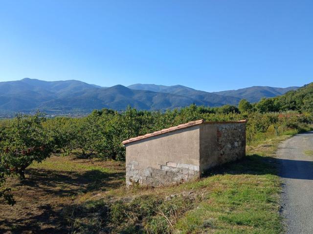 Terrain vente à Mas d'en Barrua, Céret