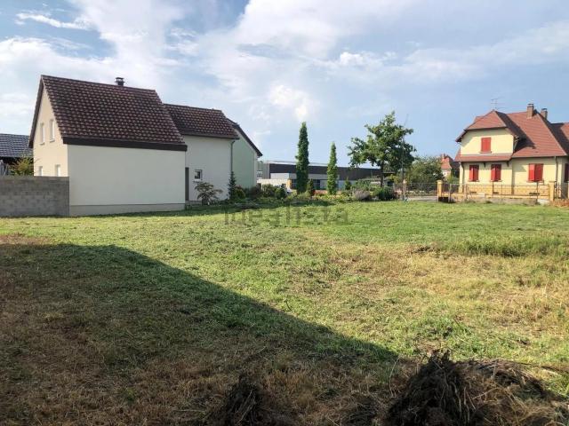 Terrain vente à Bantzenheim, Collectivité européenne d'Alsace