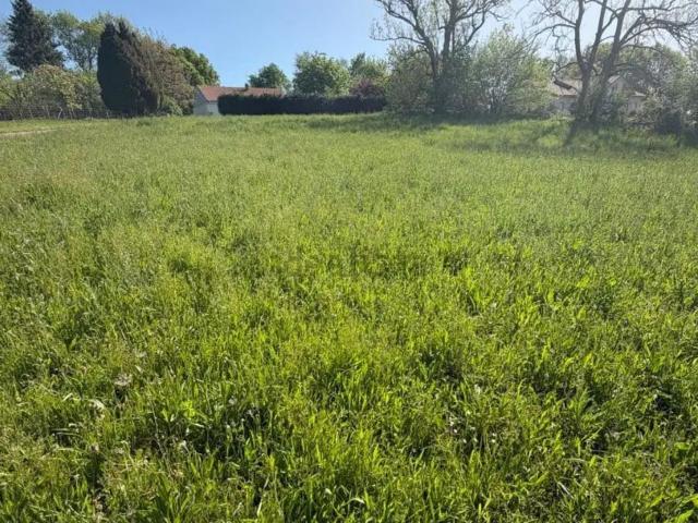 Terrain vente à Les Vérines, Châteauponsac