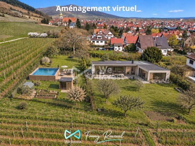 Terrain vente à Châtenois, Collectivité européenne d'Alsace