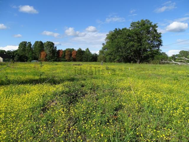 Terrain vente à La Relinière, Châtres-sur-Cher