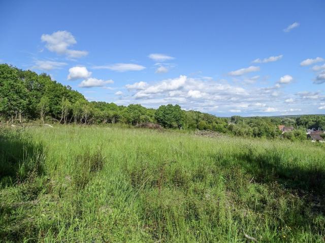 Terrain vente à La Relinière, Châtres-sur-Cher