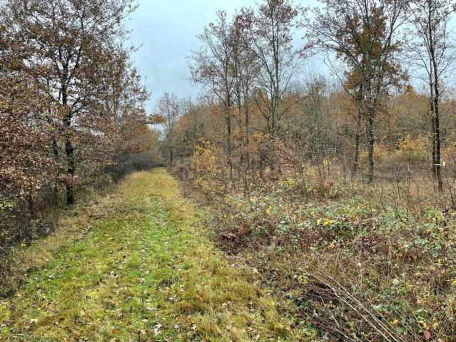 Terrain vente à Les Frênes, Châtres-sur-Cher