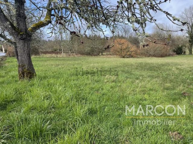 Terrain vente à Basse-Malganne, Chénérailles