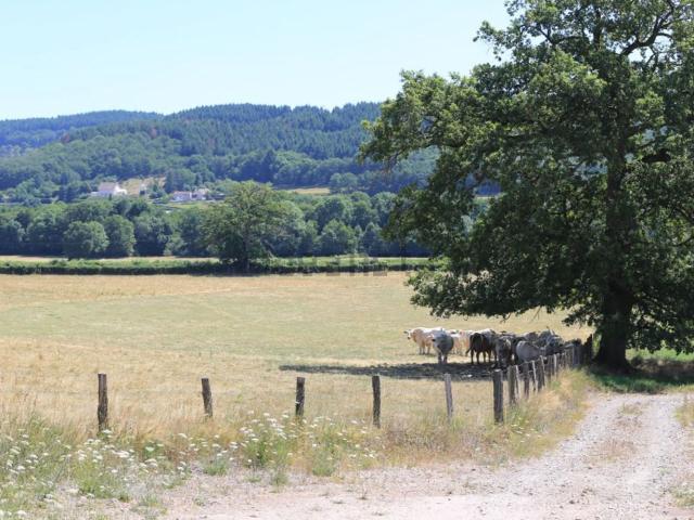 Terrain vente à Rue des Chamiots, Chissey-en-Morvan
