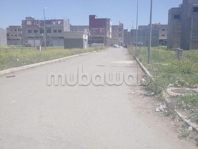 Terrain vente à Aïn El Aouda