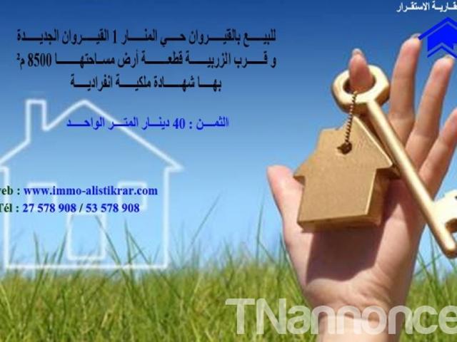 Terrain vente