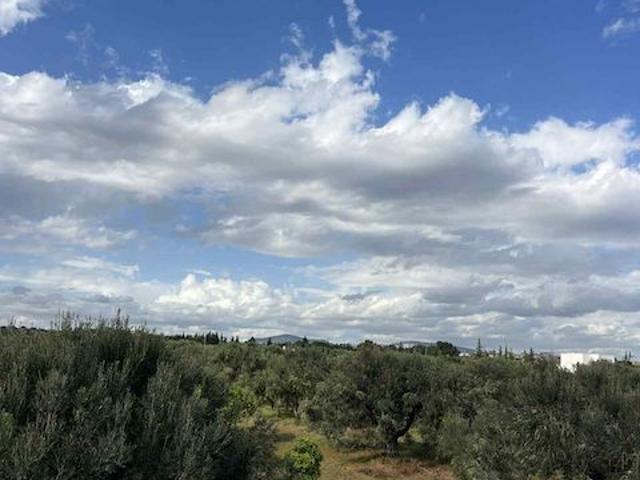 Terrain vente à Beni Khalled