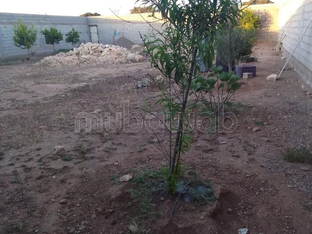 Terrain vente à Agadir Melloul, Oued ed Dahab-Lagouira