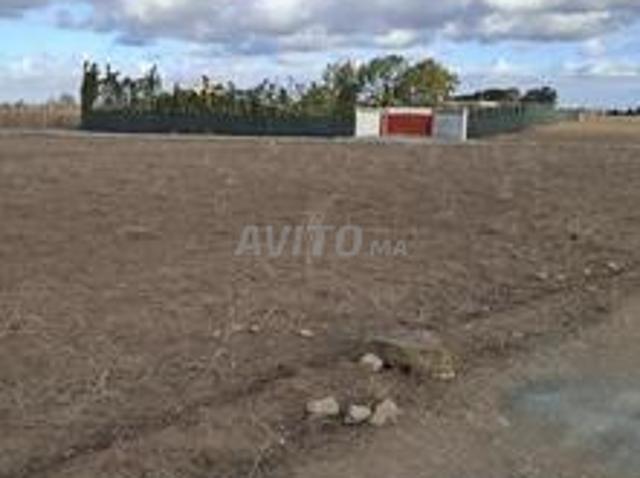 Propriété location à Gharb-Chrarda-Beni Hssen