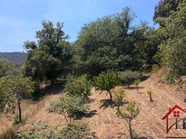 Terrain vente à Collobrières, Var