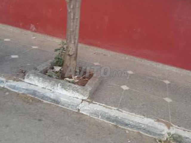Propriété vente à Agadir, Oued ed Dahab-Lagouira