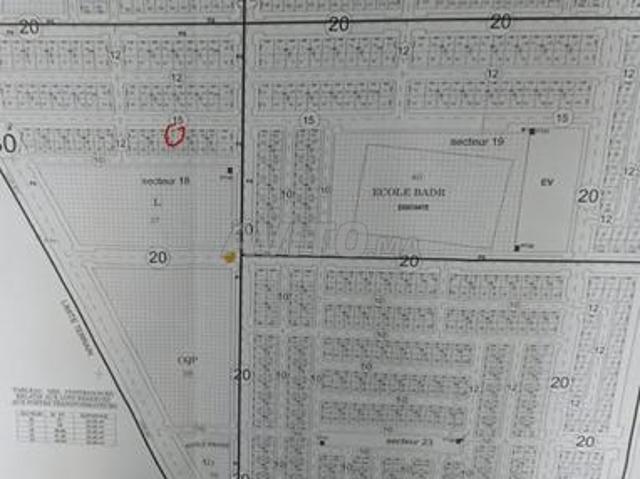 Propriété vente à Guercif