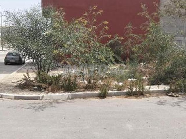 Propriété vente à Saf, L'Oriental