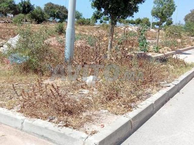 Propriété vente à El Ma, Gharb-Chrarda-Beni Hssen
