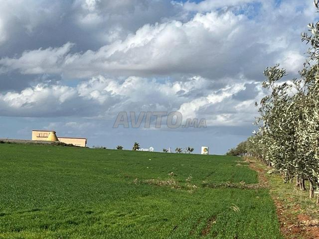 Propriété vente à Meknès