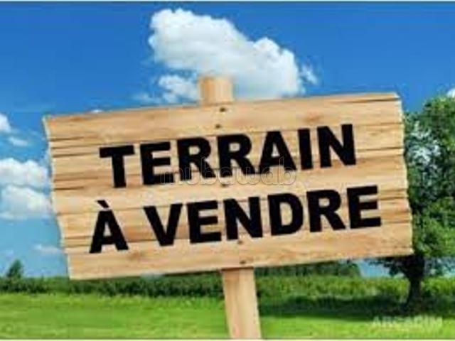 Terrain vente à Ben Slimane