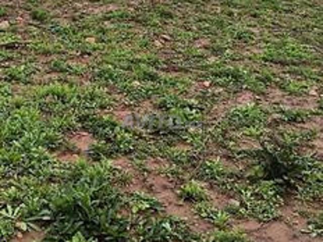 Propriété vente à Tahala