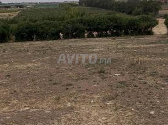 Propriété vente à El Ma, Gharb-Chrarda-Beni Hssen