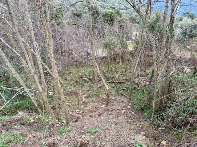 Terrain vente à Ajaccio, Coggia