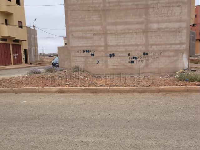 Terrain vente à Laattaouia, L'Oriental