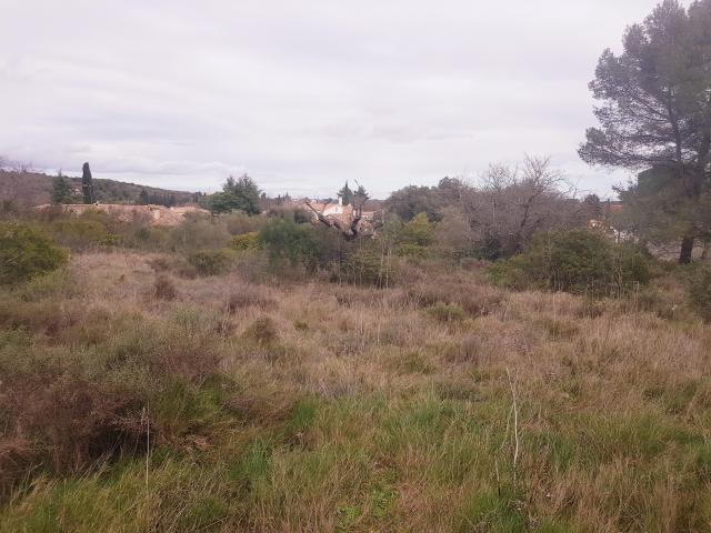 Terrain vente à Montpellier, Pignan