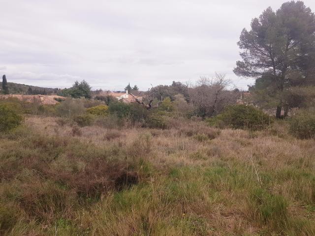 Terrain vente à Montpellier, Pignan