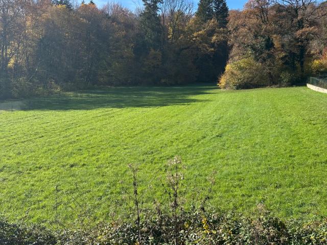 Terrain vente à Montbéliard, Lougres