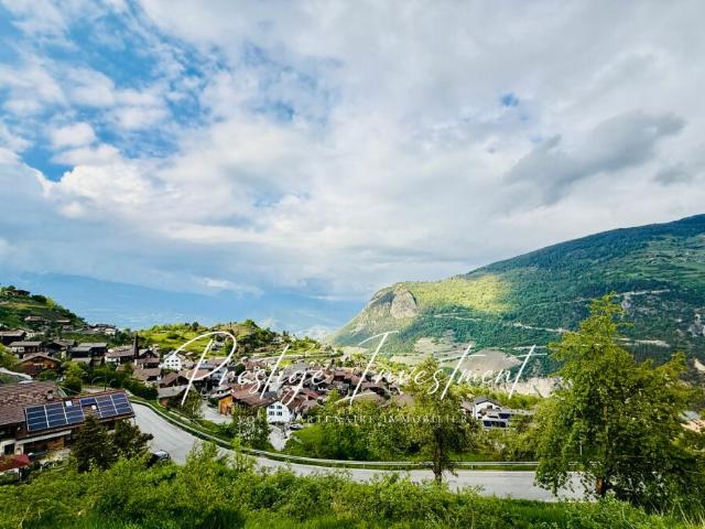 Grundstück kaufen in Vex, Wallis