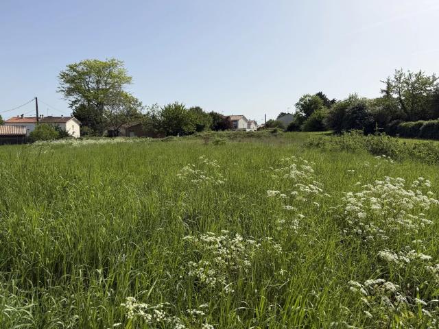 Terrain vente à Blaye