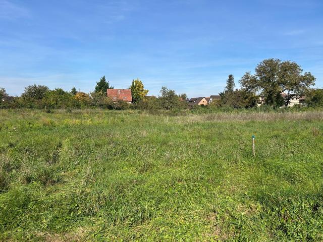 Terrain vente à Colmar-Ribeauvillé, Kunheim