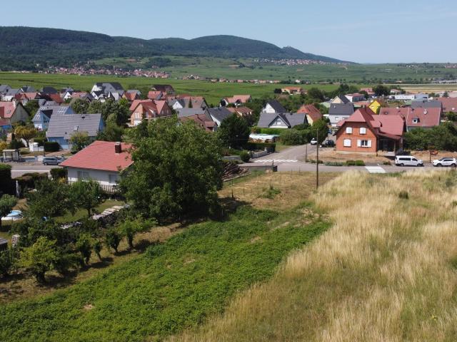 Terrain vente à Pfaffenheim, Collectivité européenne d'Alsace